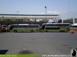 Unidades Marcopolo / Mercedes Benz - Scania / Tur-Bus - Terminal Alameda