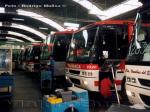 Busscar El Buss 320 / Mercedes Benz OF-1620 / Tramaca - Fabrica Busscar