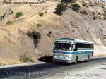 Ciferal Dinossauro / Scania BR115 / IncaBus
