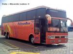 Busscar Jum Buss 380 / Volvo B12 / Pullman Bus