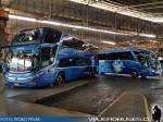 Unidades Marcopolo G7 / Cikbus - Terminal San Borja
