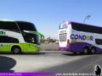 Marcopolo Paradiso New G7 1800DD / Scania K400 / Turbus - Condor Bus