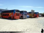 Flota Buses Pullman Bus - Calama