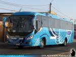 Caio Solar / Mercedes Benz O-500R /  Turisnorte - Buses Vega