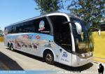 Neobus New Road N10 380 / Scania K400-K410 / MT Bus