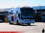 Neobus New Road 380 / Scania K410 / Moraga Tour