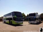 Modasa Zeus 3 / Volvo B420R / Tur-Bus - Viggo