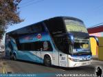 Modasa Zeus 3 / Volvo B420R / MT Bus