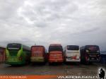 Buses Barria / Punta Arenas