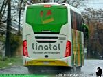 Flota de Buses Linatal - Bio Linatal