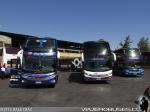 Unidades DD / Volvo B420R - Scania K410 - Mercedes Benz O-500RSD / Terminal Santiago