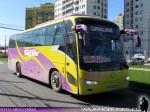 King Long XMQ6117Y / Buses Silpar