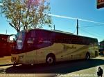 Golden Dragon / Interbus