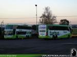 Unidades Marcopolo / Scania - Mercedes Benz / Tur-Bus