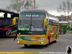 Yutong ZK6136H / Talmocur