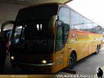 Unidades Queilen Bus / Chiloé - X Región