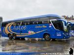 Mascarello Roma 370 / Mercedes Benz O-500RSD / Queilen Bus - Isla de Chiloe