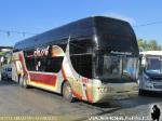 Youngman JPN6137 / Pullman Bus
