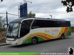 Neobus New Road N10 360 / Mercedes Benz O-500RS / Buses Peñablanca