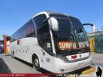 Neobus New Road N10 380 / Scania K410 / Moraga Tour