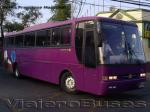 Busscar El Buss 340 / HVR Detroit 16370 / Tepual