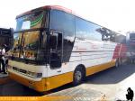 Busscar Jum Buss 380 / Volvo B12R / Tepual