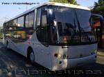 Busscar El Buss 340 / Scania K124IB / Tepual
