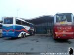Unidades Comil Campione 4.05HD / Scania K420 / Eme Bus - Bio Linatal