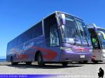 Busscar Vissta Buss LO / Scania K340 / Flota Barrios - Condor Bus