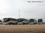Flota de Buses Via-Tur / Servicio Especial