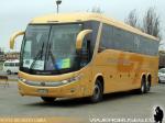 Marcopolo Paradiso G7 1200 / Mercedes Benz O-500RSD / Tepual - Especial Buses CVU