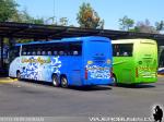Unidades Irizar Century 3.90 / Scania K380 / Linea Azul