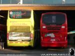 Unidades Marcopolo Paradiso 1800DD - Mascarello Roma 370 / Mercedes Benz O-500RSD / Queilen Bus