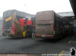 Modasa Zeus II - Busscar Vissta Buss Elegance 360 / Scania K420 - Mercedes Benz O-500RS / Bio Linatal - Jota Ewert