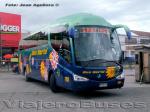 Irizar PB - Marcopolo Paradiso 1550LD / Scania K340 - Mercedes Benz O-500RSD / Unidades Bus Norte