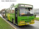 Ciferal Padron Rio / Mercedes Benz OF-1115 / Buses San Antonio