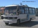 Caio Carolina / Mercedes Benz 708E / Linea C - Punta Arenas