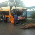 Un camión que transitaba por el sector Palomares, en el ingreso a Concepción...