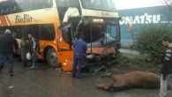 Un camión que transitaba por el sector Palomares, en el ingreso a Concepción...