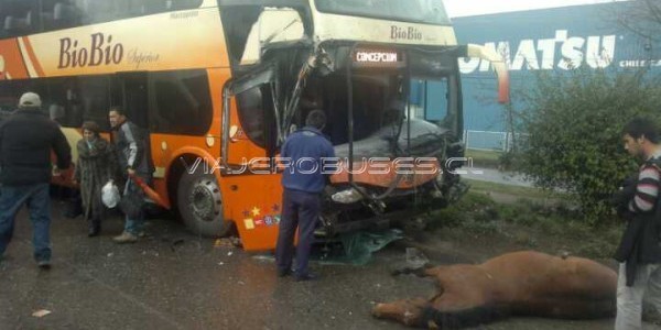 Un camión que transitaba por el sector Palomares, en el ingreso a Concepción...