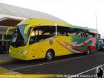 Irizar i6 / Mercedes Benz O-500RS / Pullman Lauca