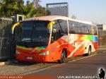 Irizar Century / Mercedes Benz O-500RS / Turismo Oveja Negra