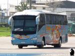 Irizar Century / Mercedes Benz O-500R / Terra Tour