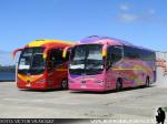 Irizar i6s 3.90 / Scania K360 / Terma Tur