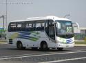 Shenzhen Wuzhoulong Bus / Turismo