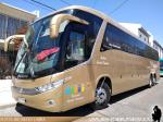 Marcopolo Paradiso G7 1200 / Mercedes Benz O-500RSD / Buses Felcotur