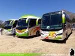 Buses Amistad / Santuario Santa Teresa de Los Andes