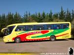 Unidades Mercedes Benz / Ilomar - Buses Arancibia