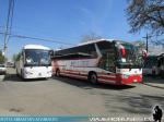 Bus Service y Meltur / Parada Militar 2016