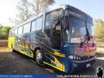 Busscar Jum Buss 340 / Scania K113 / Turismo Oveja Negra